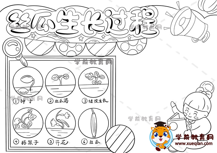 絲瓜生長記錄手抄報